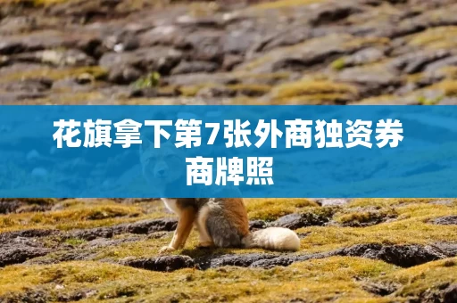 花旗拿下第7张外商独资券商牌照