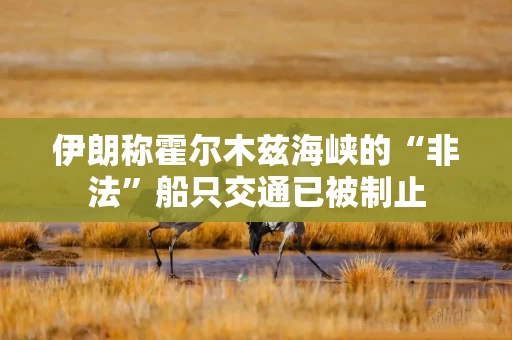 伊朗称霍尔木兹海峡的“非法”船只交通已被制止