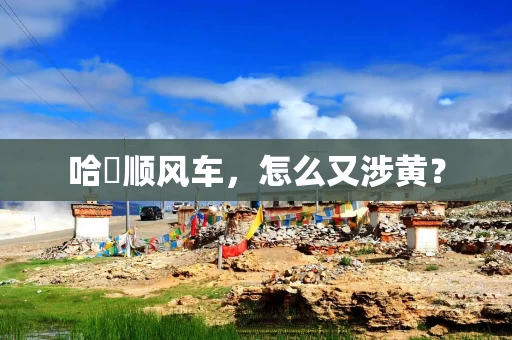 哈啰顺风车,怎么又涉黄? 哈啰顺风车,怎么又涉黄?
