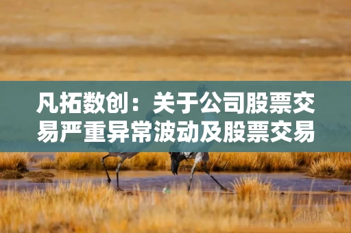 凡拓数创：关于公司股票交易严重异常波动及股票交易异常波动的公告
