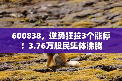 600838，逆势狂拉3个涨停！3.76万股民集体沸腾