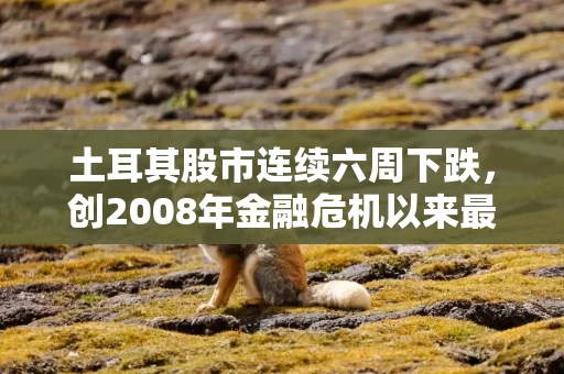 土耳其股市连续六周下跌,创2008年金融危机以来最长连跌纪录,基金丑闻持续发酵 土耳其股市连续六周下跌,创2008年金融危机以来最长连跌纪录,基金丑闻持续发酵