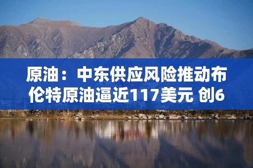 原油:中东供应风险推动布伦特原油逼近117美元 创6个月高点 原油:中东供应风险推动布伦特原油逼近117美元 创6个月高点