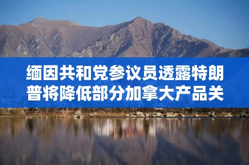 缅因共和党参议员透露特朗普将降低部分加拿大产品关税