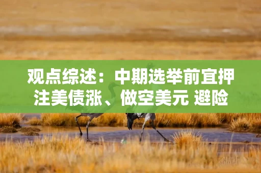 观点综述：中期选举前宜押注美债涨、做空美元 避险情绪或延至11月中