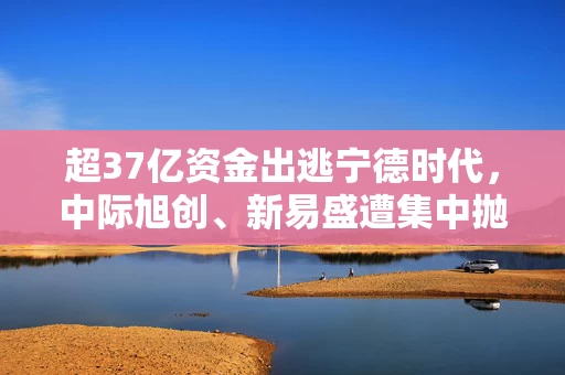 超37亿资金出逃宁德时代，中际旭创、新易盛遭集中抛售
