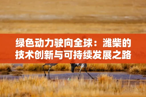 绿色动力驶向全球:潍柴的技术创新与可持续发展之路 绿色动力驶向全球:潍柴的技术创新与可持续发展之路