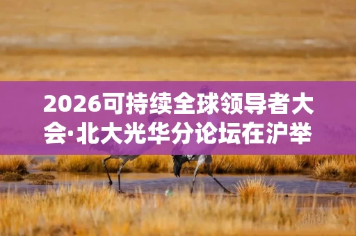 2026可持续全球领导者大会·北大光华分论坛在沪举行 共探碳中和系统变革的落地路径 2026可持续全球领导者大会·北大光华分论坛在沪举行 共探碳中和系统变革的落地路径