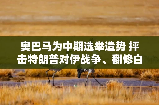 奥巴马为中期选举造势 抨击特朗普对伊战争、翻修白宫
