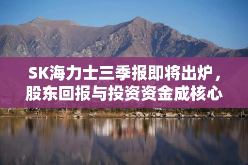 SK海力士三季报即将出炉，股东回报与投资资金成核心看点