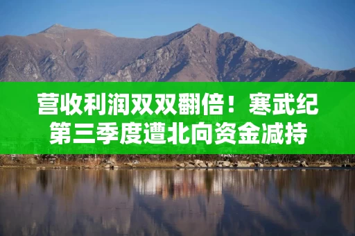 营收利润双双翻倍!寒武纪第三季度遭北向资金减持 营收利润双双翻倍!寒武纪第三季度遭北向资金减持