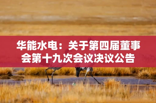 华能水电:关于第四届董事会第十九次会议决议公告 华能水电:关于第四届董事会第十九次会议决议公告