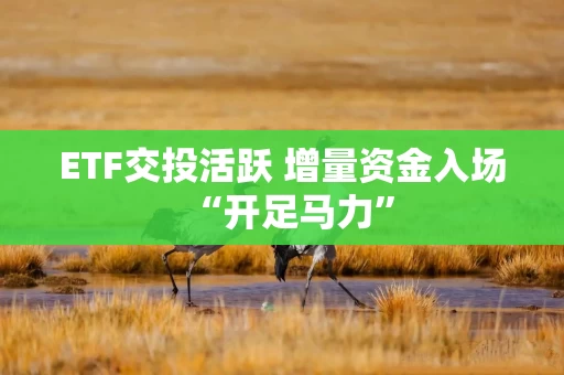ETF交投活跃 增量资金入场“开足马力” ETF交投活跃 增量资金入场“开足马力”