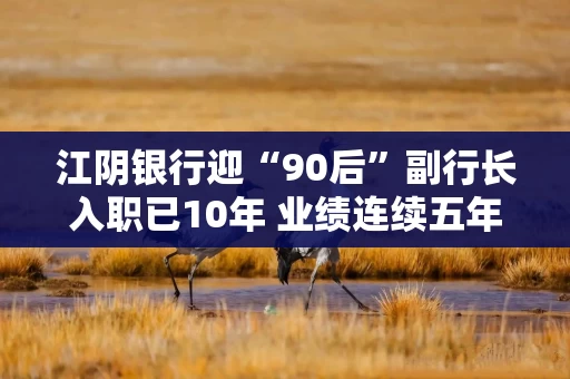 江阴银行迎“90后”副行长入职已10年 业绩连续五年半增长不良率0.81% 江阴银行迎“90后”副行长入职已10年 业绩连续五年半增长不良率0.81%