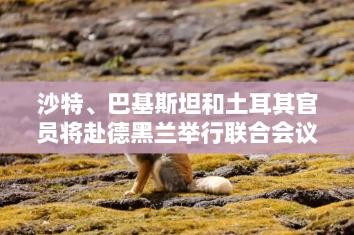 沙特、巴基斯坦和土耳其官员将赴德黑兰举行联合会议