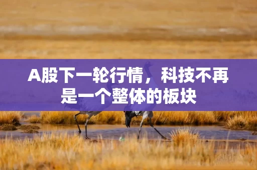 A股下一轮行情,科技不再是一个整体的板块 A股下一轮行情,科技不再是一个整体的板块