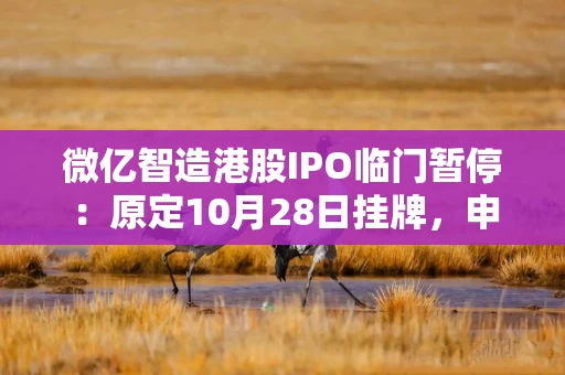 微亿智造港股IPO临门暂停：原定10月28日挂牌，申购款全额退还