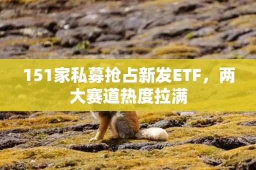 151家私募抢占新发ETF，两大赛道热度拉满