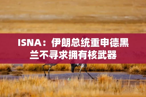 ISNA:伊朗总统重申德黑兰不寻求拥有核武器 ISNA:伊朗总统重申德黑兰不寻求拥有核武器