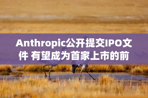 Anthropic公开提交IPO文件 有望成为首家上市的前沿AI实验室