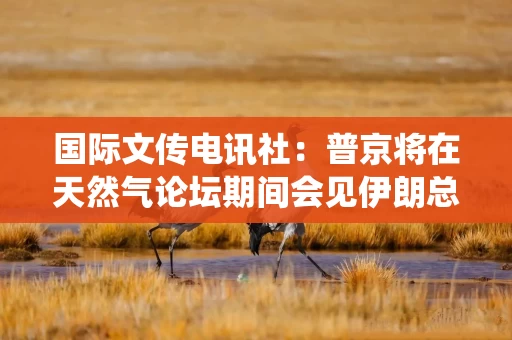 国际文传电讯社:普京将在天然气论坛期间会见伊朗总统和卡塔尔埃米尔 国际文传电讯社:普京将在天然气论坛期间会见伊朗总统和卡塔尔埃米尔