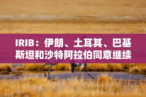 IRIB:伊朗、土耳其、巴基斯坦和沙特阿拉伯同意继续磋商 IRIB:伊朗、土耳其、巴基斯坦和沙特阿拉伯同意继续磋商
