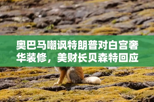 奥巴马嘲讽特朗普对白宫奢华装修,美财长贝森特回应 奥巴马嘲讽特朗普对白宫奢华装修,美财长贝森特回应
