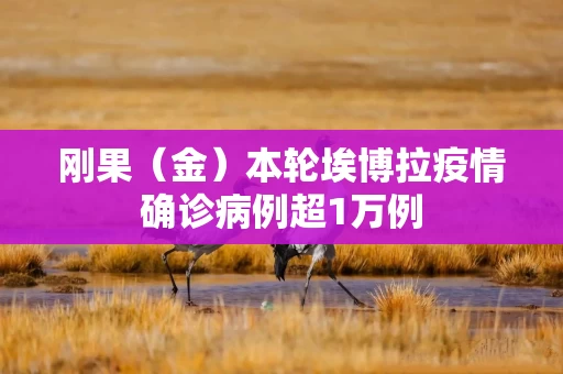 刚果(金)本轮埃博拉疫情确诊病例超1万例 刚果(金)本轮埃博拉疫情确诊病例超1万例