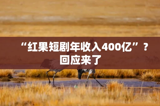 “红果短剧年收入400亿”?回应来了 “红果短剧年收入400亿”?回应来了