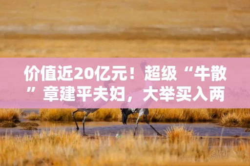 价值近20亿元!超级“牛散”章建平夫妇,大举买入两只股票 价值近20亿元!超级“牛散”章建平夫妇,大举买入两只股票