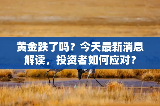 黄金跌了吗？今天最新消息解读，投资者如何应对？