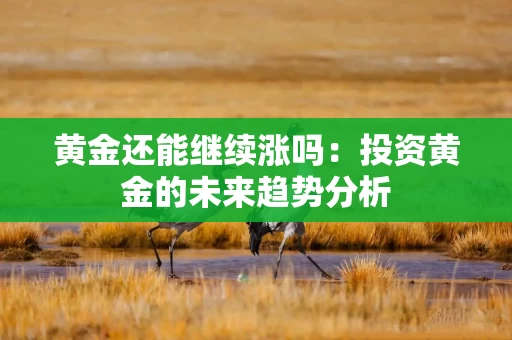 黄金还能继续涨吗：投资黄金的未来趋势分析