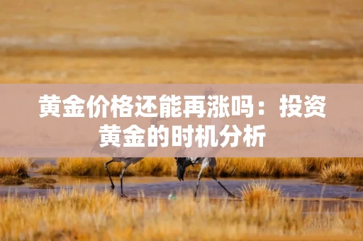黄金价格还能再涨吗：投资黄金的时机分析