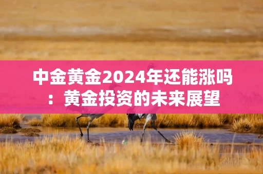 中金黄金2024年还能涨吗：黄金投资的未来展望