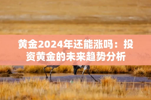 黄金2024年还能涨吗：投资黄金的未来趋势分析