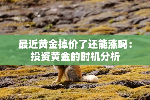 最近黄金掉价了还能涨吗：投资黄金的时机分析