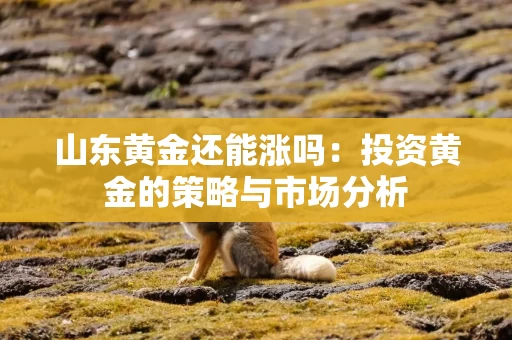 山东黄金还能涨吗：投资黄金的策略与市场分析