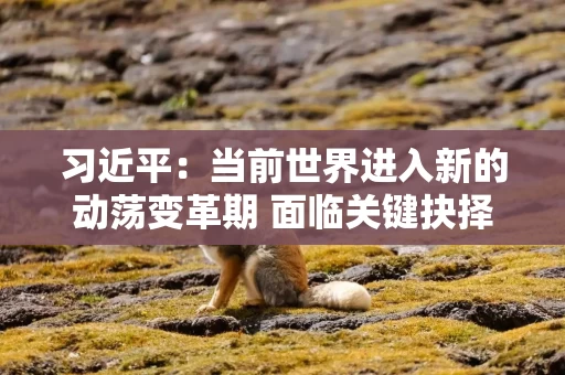 习近平：当前世界进入新的动荡变革期 面临关键抉择