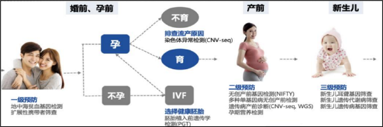 华大基因:“技术+数据”双轮驱动，锚定C端健康管理新蓝海_华大基因:“技术+数据”双轮驱动，锚定C端健康管理新蓝海_