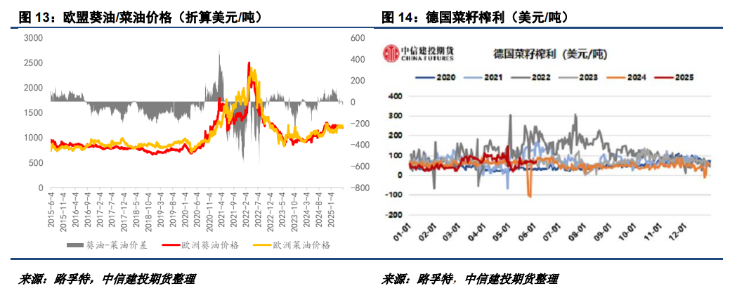 2020年油葵价格能不能涨价__油葵的产量和出油率