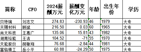 财务总监年薪__中国财务总监年薪排名