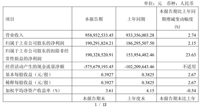 水井坊发展战略_水井坊现状_