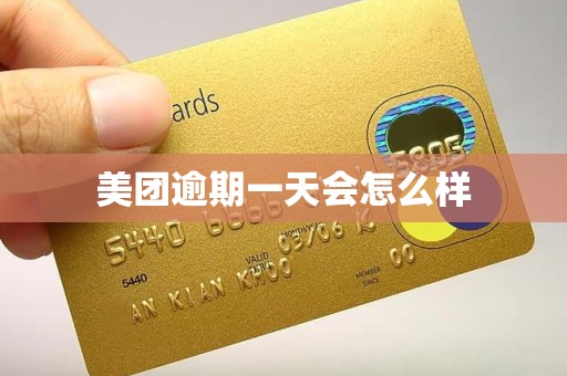 美团逾期一天会怎么样