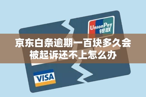 京东白条逾期一百块多久会被起诉还不上怎么办 京东白条逾期一百块多久会被起诉还不上怎么办
