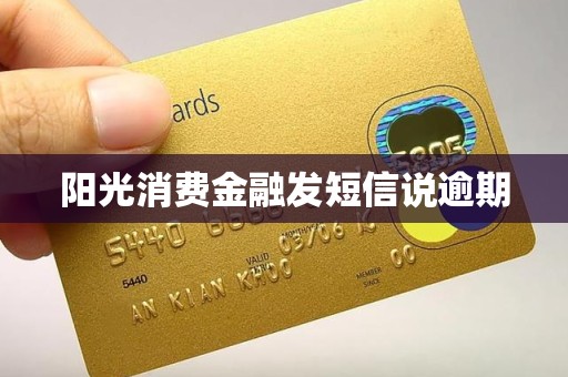 阳光消费金融发短信说逾期