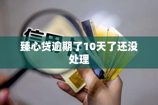 臻心贷逾期了10天了还没处理 臻心贷逾期了10天了还没处理