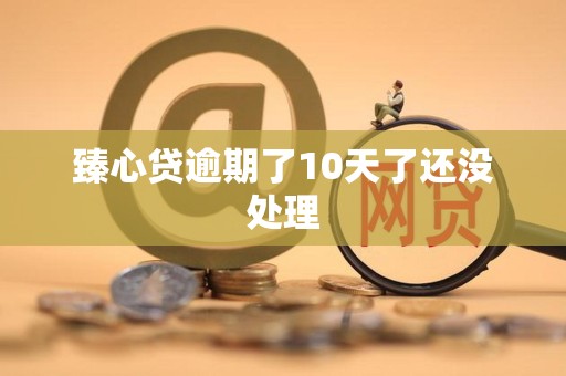 臻心贷逾期了10天了还没处理 臻心贷逾期了10天了还没处理