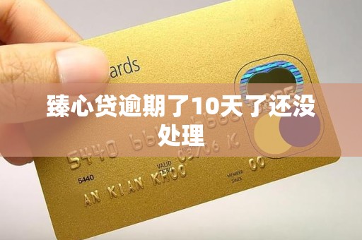臻心贷逾期了10天了还没处理 臻心贷逾期了10天了还没处理