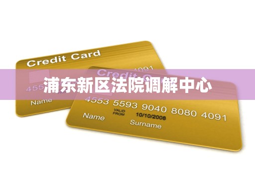 浦东新区法院调解中心