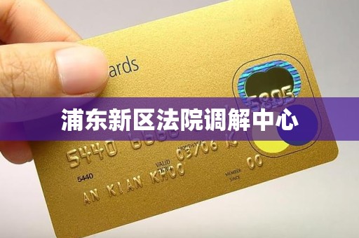 浦东新区法院调解中心 浦东新区法院调解中心
